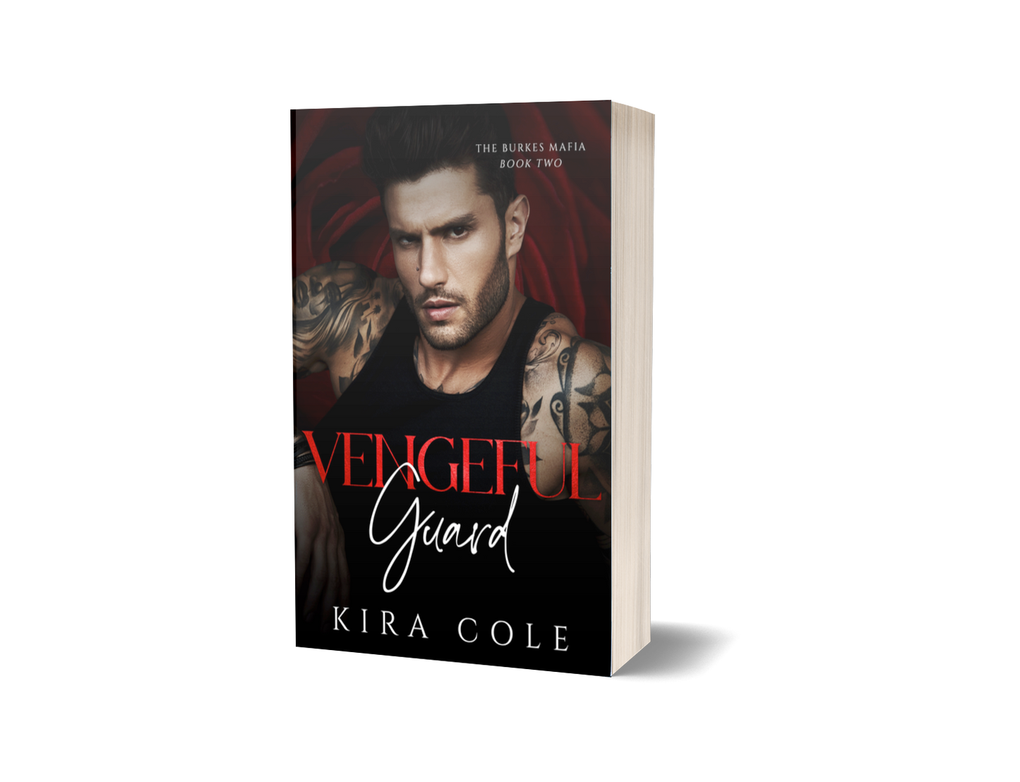Vengeful Guard Paperback