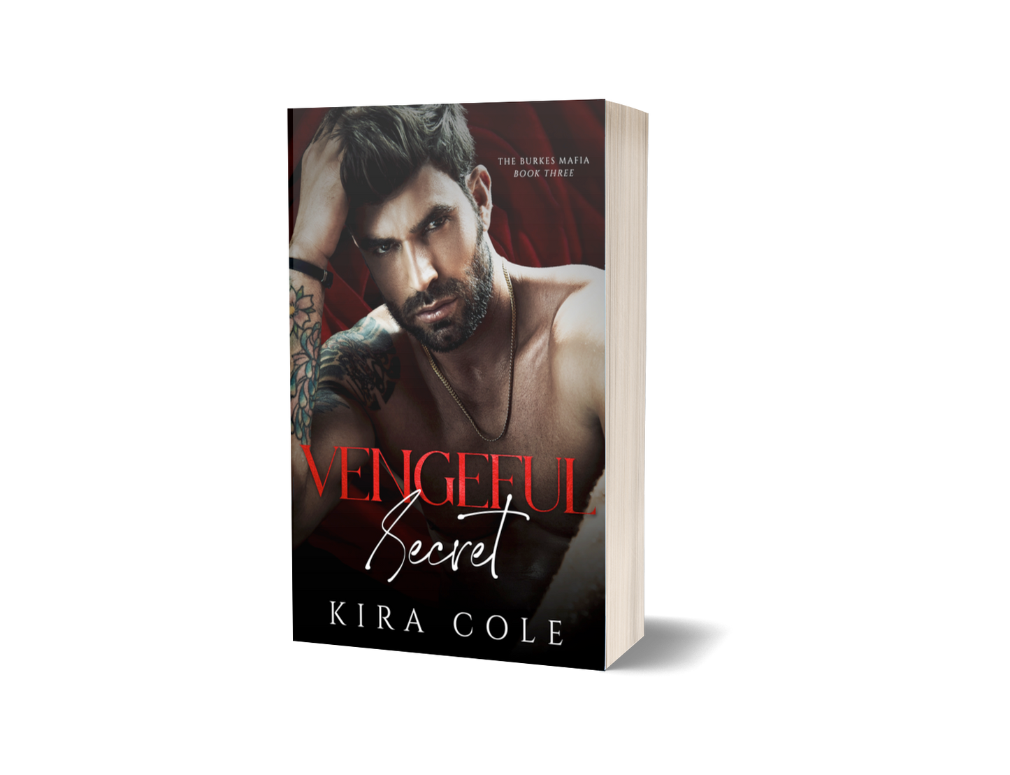 Vengeful Secret Paperback