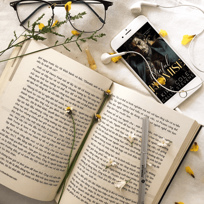 Sinful Promise Paperback